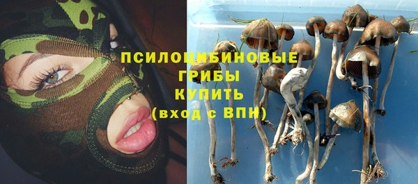 мдпв Бронницы