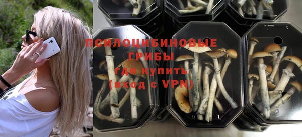 мдпв Бронницы