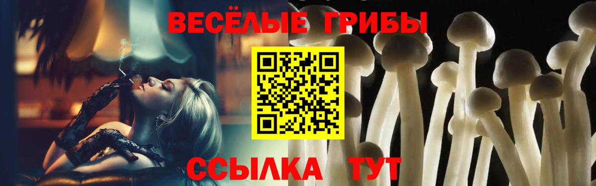 Галлюциногенные грибы ЛСД  Вход с VPN  Галлюциногенные грибы Psilocybe  Зима 