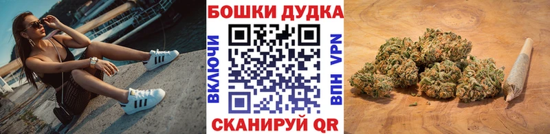 kraken ONION  Зима  Марихуана SATIVA & INDICA  где продают  